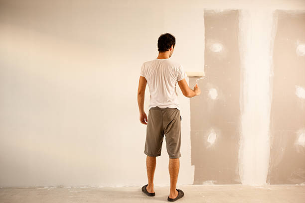 Best Drywall Removal and Disposal  in Fort Madison, IA